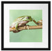 der Frosch und die Schnecke Passepartout Quadratisch 40x40