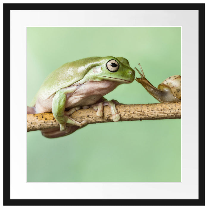 der Frosch und die Schnecke Passepartout Quadratisch 55x55