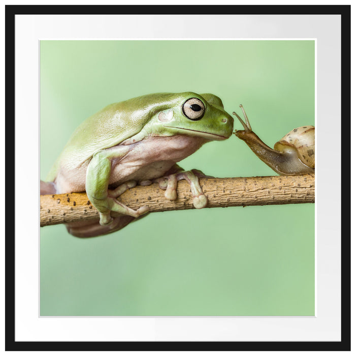 der Frosch und die Schnecke Passepartout Quadratisch 70x70
