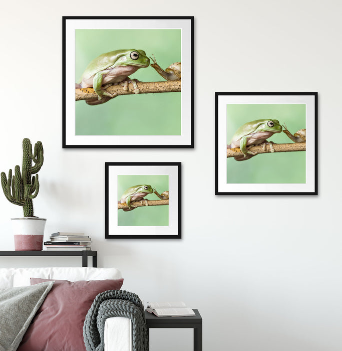 der Frosch und die Schnecke Quadratisch Passepartout Wohnzimmer