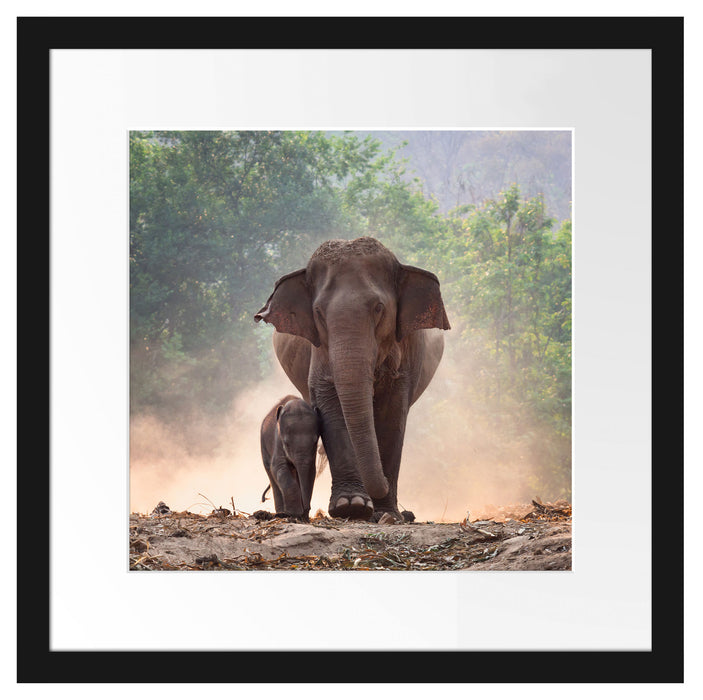 Elefantenbaby mit Mutter Passepartout Quadratisch 40x40