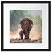 Elefantenbaby mit Mutter Passepartout Quadratisch 40x40