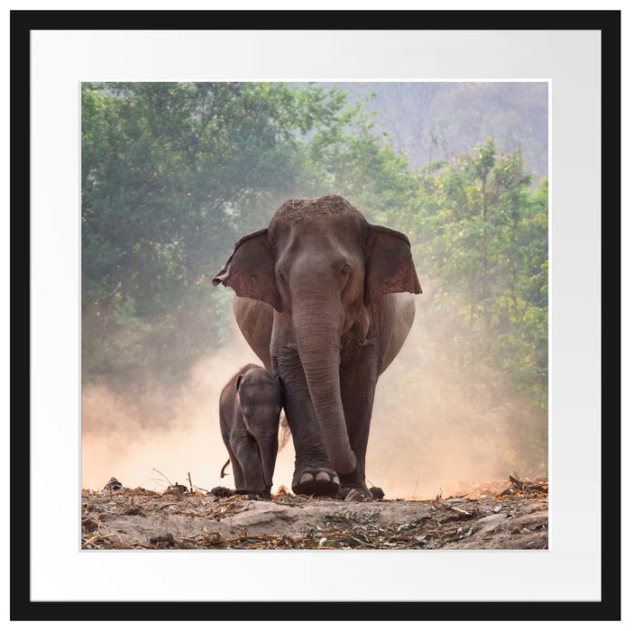 Elefantenbaby mit Mutter Passepartout Quadratisch 55x55