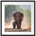 Elefantenbaby mit Mutter Passepartout Quadratisch 55x55