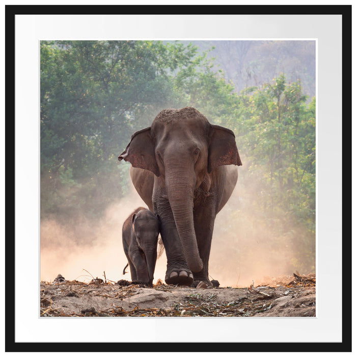 Elefantenbaby mit Mutter Passepartout Quadratisch 70x70