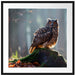 die Eule auf dem Baumstamm Passepartout Quadratisch 70x70