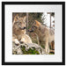 Wölfe im Wald Passepartout Quadratisch 40x40