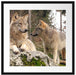 Wölfe im Wald Passepartout Quadratisch 55x55