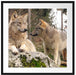 Wölfe im Wald Passepartout Quadratisch 70x70