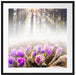 lila Blumen im Wald Passepartout Quadratisch 70x70