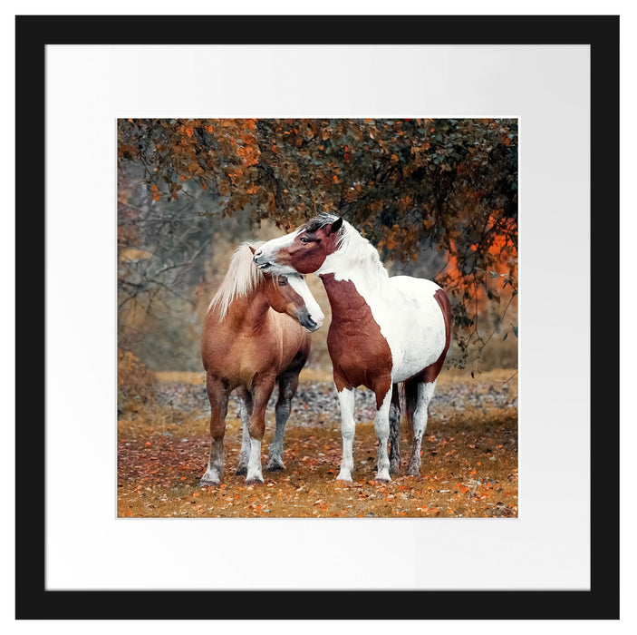 zwei schmusende Pferde Passepartout Quadratisch 40x40