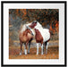 zwei schmusende Pferde Passepartout Quadratisch 55x55