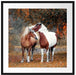 zwei schmusende Pferde Passepartout Quadratisch 70x70