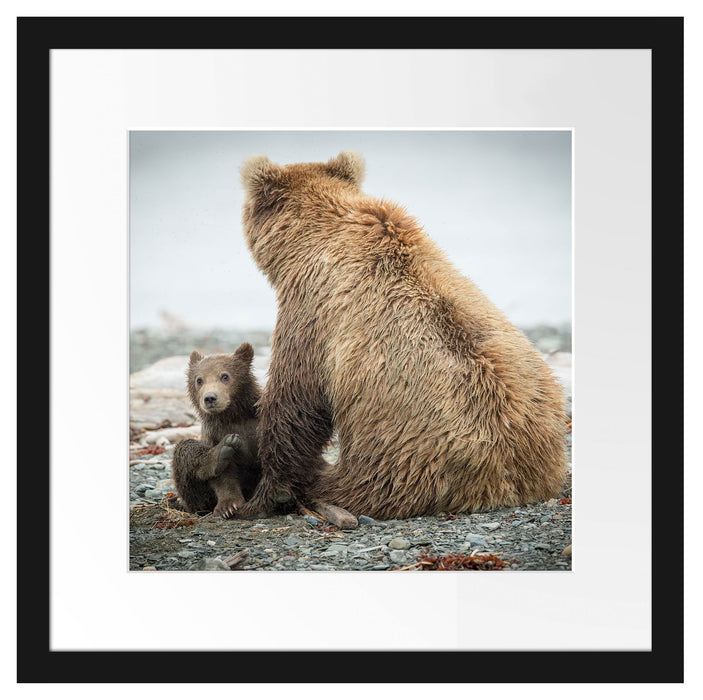 Bär mit Baby nach dem Baden Passepartout Quadratisch 40x40