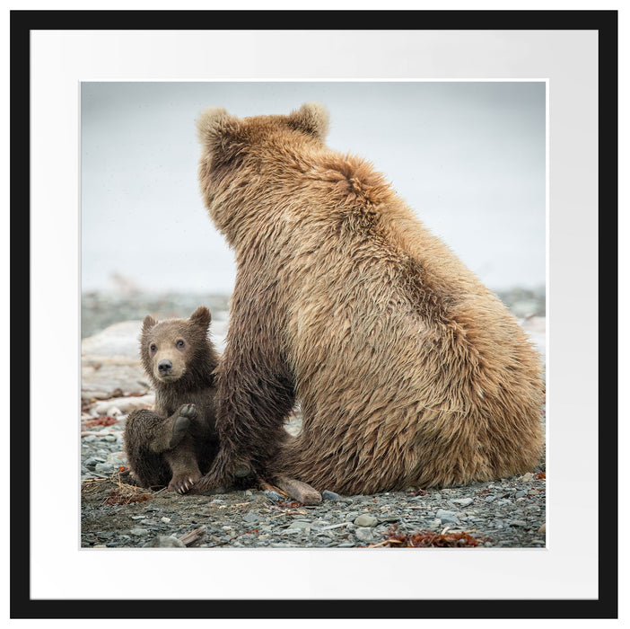 Bär mit Baby nach dem Baden Passepartout Quadratisch 55x55