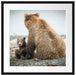 Bär mit Baby nach dem Baden Passepartout Quadratisch 55x55