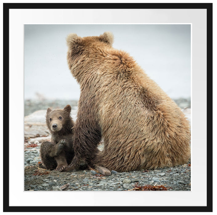 Bär mit Baby nach dem Baden Passepartout Quadratisch 70x70