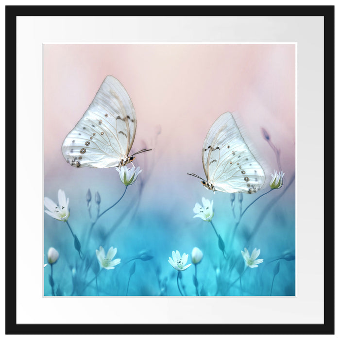 Schmetterling auf kleinen Blumen Passepartout Quadratisch 55x55