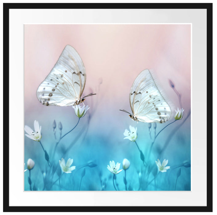 Schmetterling auf kleinen Blumen Passepartout Quadratisch 70x70