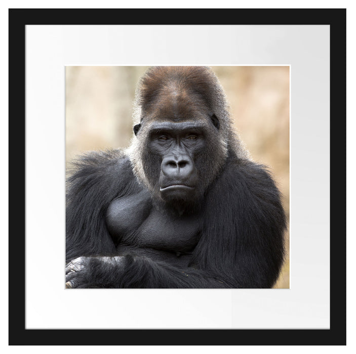 gelangweilter Gorilla Passepartout Quadratisch 40x40