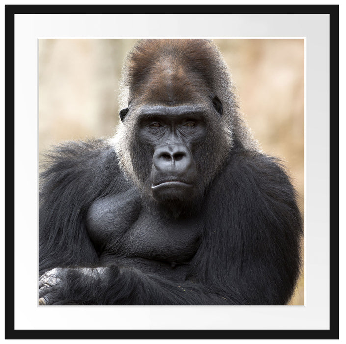 gelangweilter Gorilla Passepartout Quadratisch 70x70