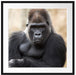 gelangweilter Gorilla Passepartout Quadratisch 70x70