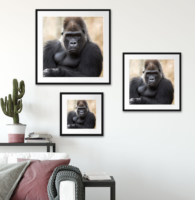 gelangweilter Gorilla Quadratisch Passepartout Wohnzimmer