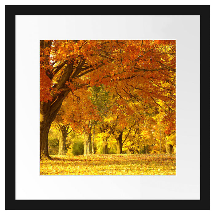 schöne Herbstlandschaft Passepartout Quadratisch 40x40