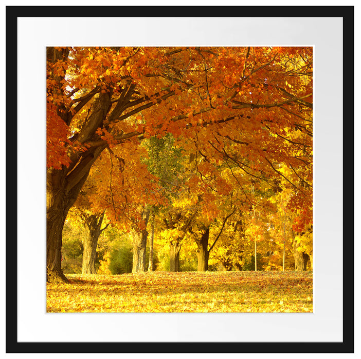 schöne Herbstlandschaft Passepartout Quadratisch 55x55