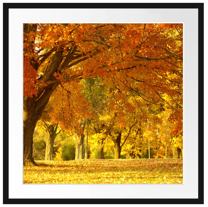 schöne Herbstlandschaft Passepartout Quadratisch 70x70