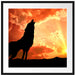 Wolf Heulen Passepartout Quadratisch 70x70