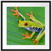 kleiner grüner Frosch auf Blatt Passepartout Quadratisch 55x55