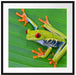 kleiner grüner Frosch auf Blatt Passepartout Quadratisch 70x70