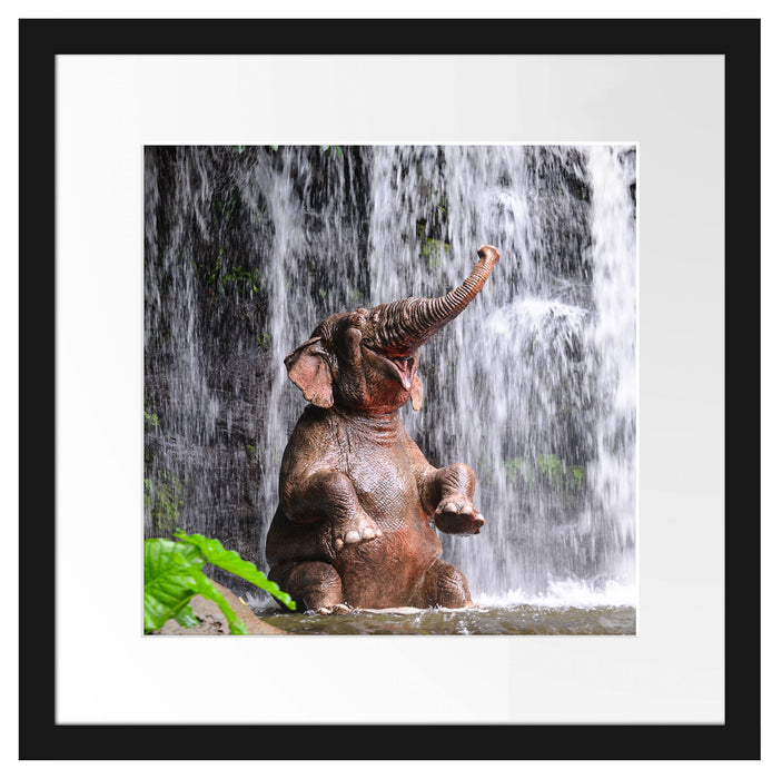 Babyelefant am Wasserfall Passepartout Quadratisch 40x40