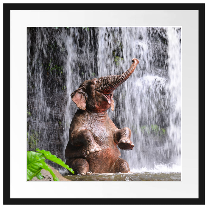 Babyelefant am Wasserfall Passepartout Quadratisch 55x55
