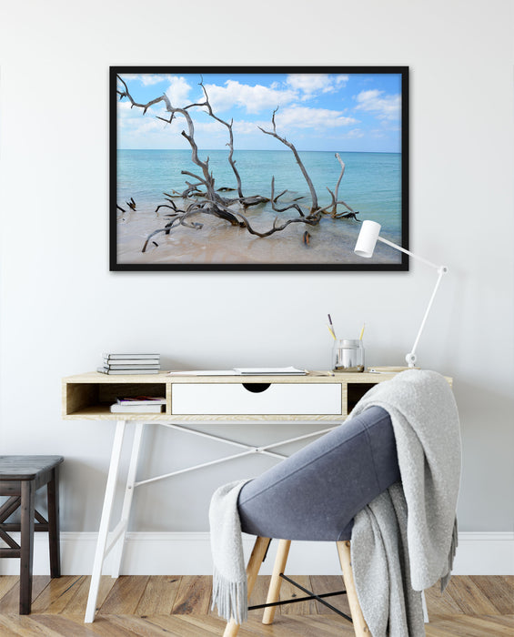 Strand mit Treibholz in Kuba, Poster mit Bilderrahmen