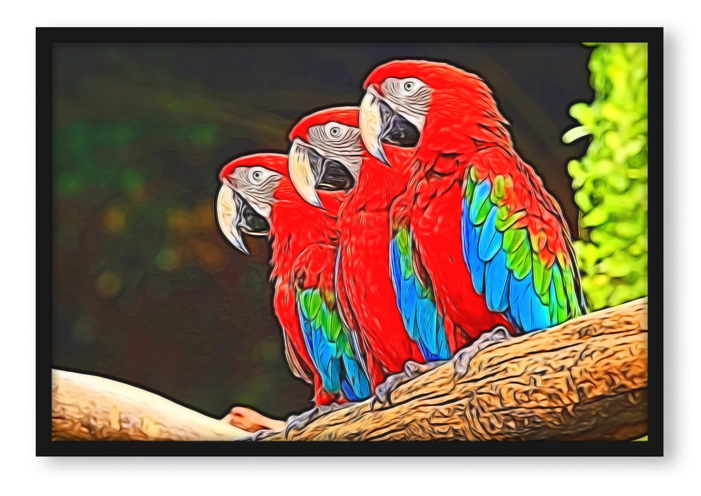 Pixxprint Bunte Papageien auf Ast, Poster mit Bilderrahmen