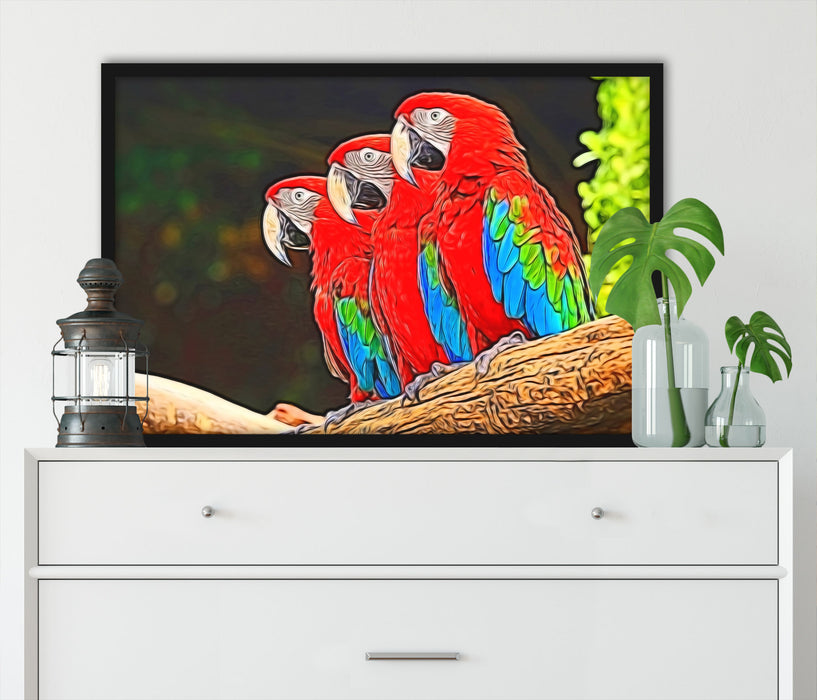 Bunte Papageien auf Ast, Poster mit Bilderrahmen