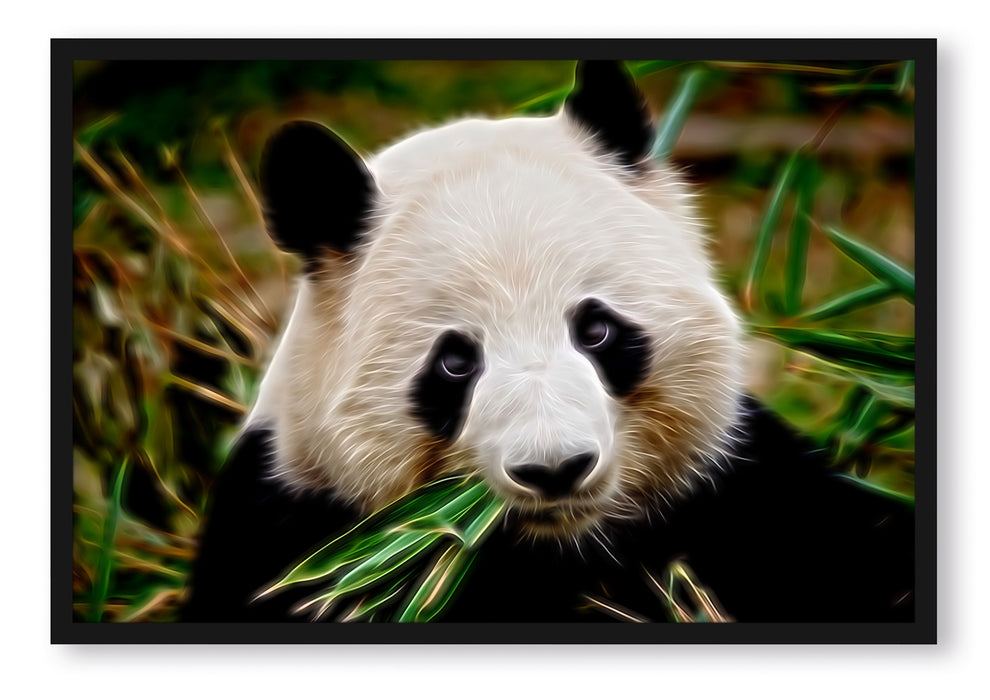 Kuscheliger Panda frisst Bambus, Poster mit Bilderrahmen