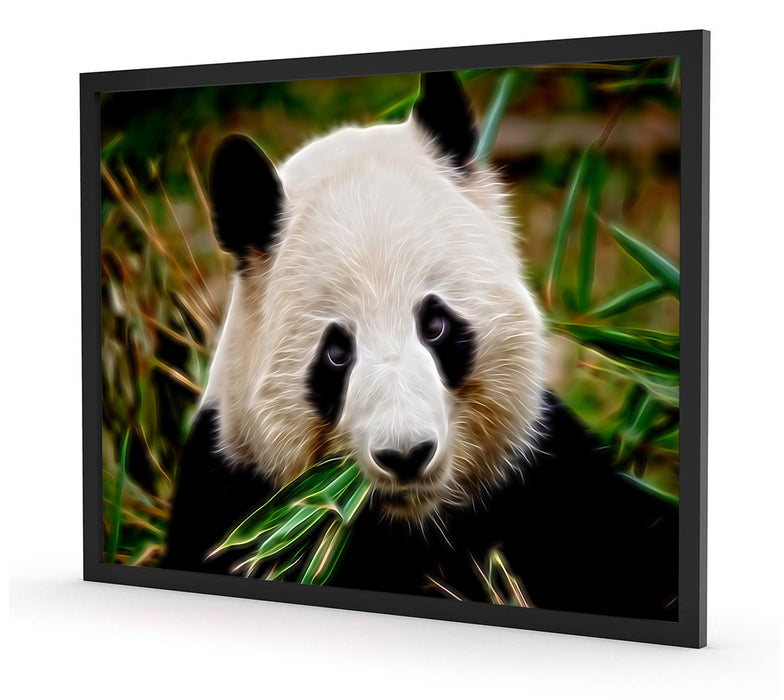 Kuscheliger Panda frisst Bambus, Poster mit Bilderrahmen