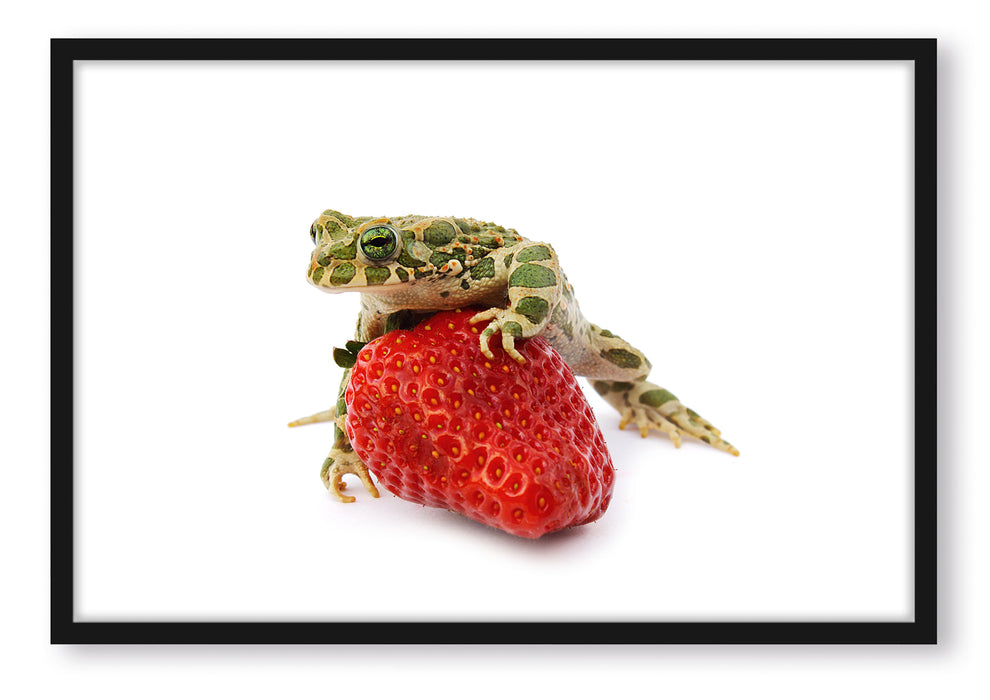 Kleiner Frosch sitzt auf Erdbeere, Poster mit Bilderrahmen