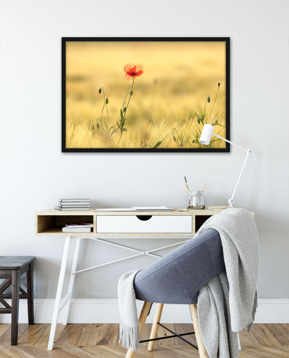 Wunderschöne Mohnblume im Feld, Poster mit Bilderrahmen