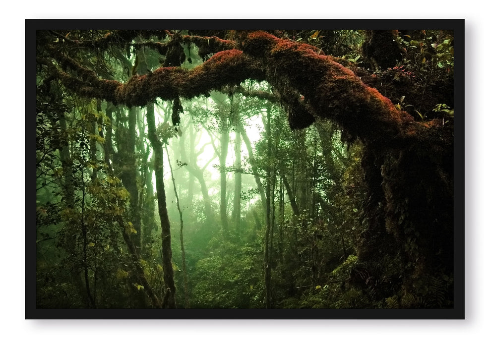 Geheimnisvoller Regenwald, Poster mit Bilderrahmen