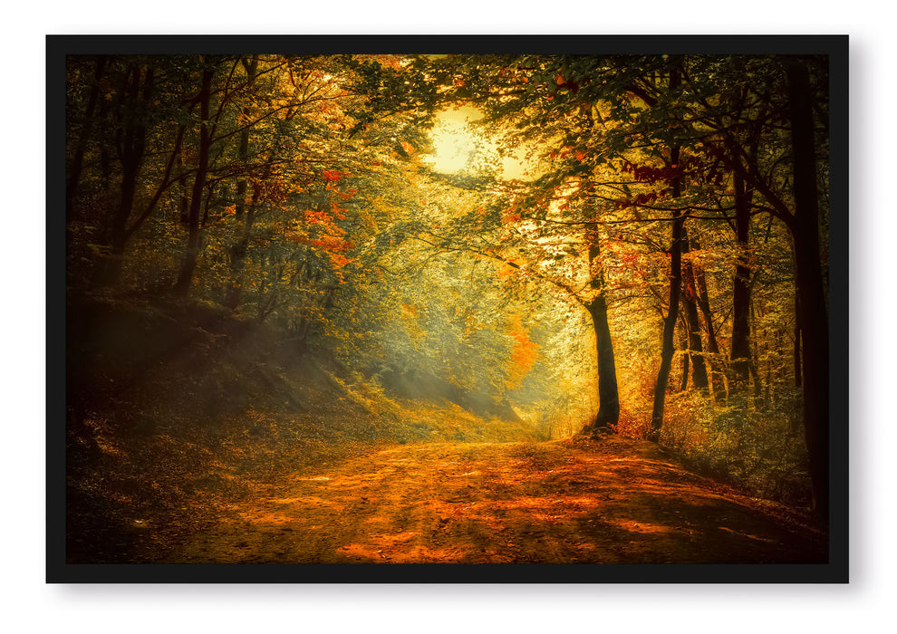 Pixxprint Wald, Poster mit Bilderrahmen