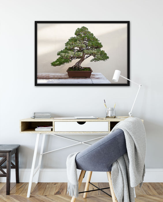 Bonsai Baum, Poster mit Bilderrahmen