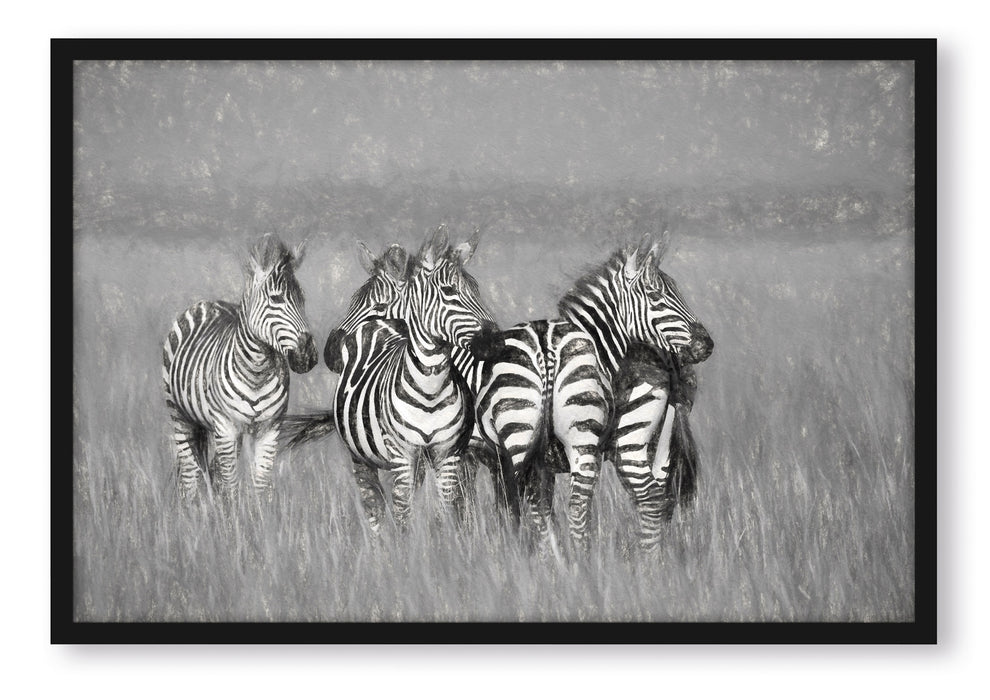 Zebras in Savanne, Poster mit Bilderrahmen