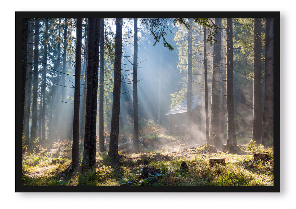 Pixxprint Sonnenstrahlen im Wald, Poster mit Bilderrahmen