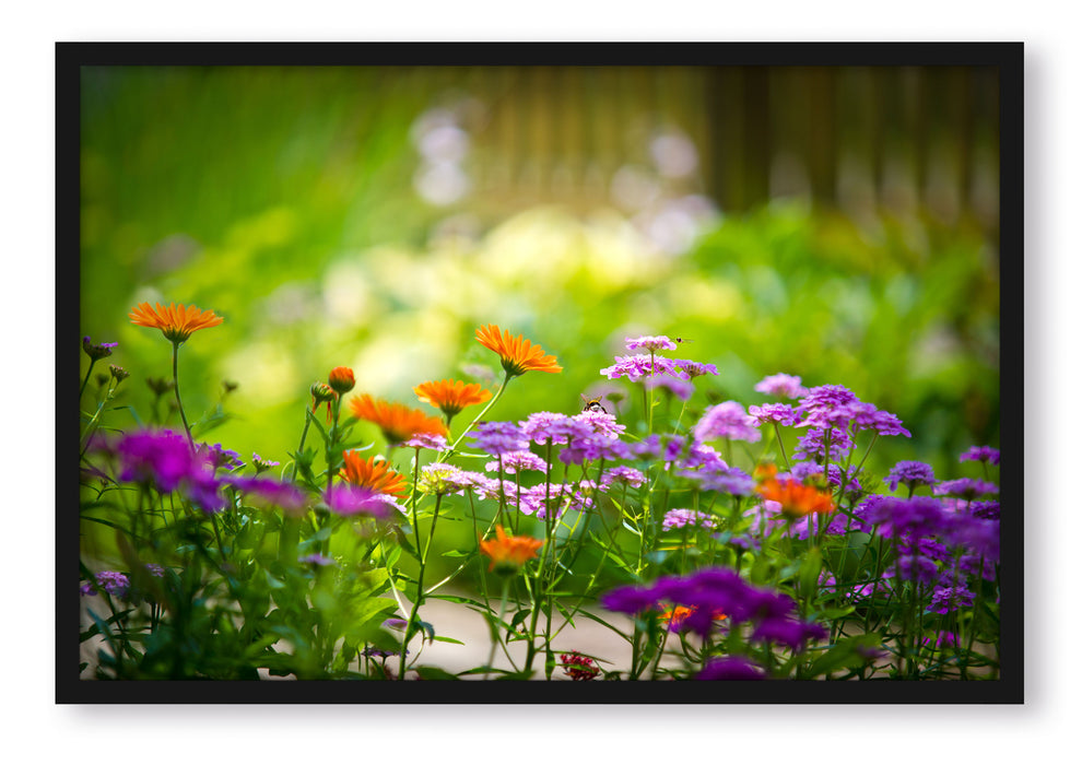 Pixxprint Blumenwiese, Poster mit Bilderrahmen