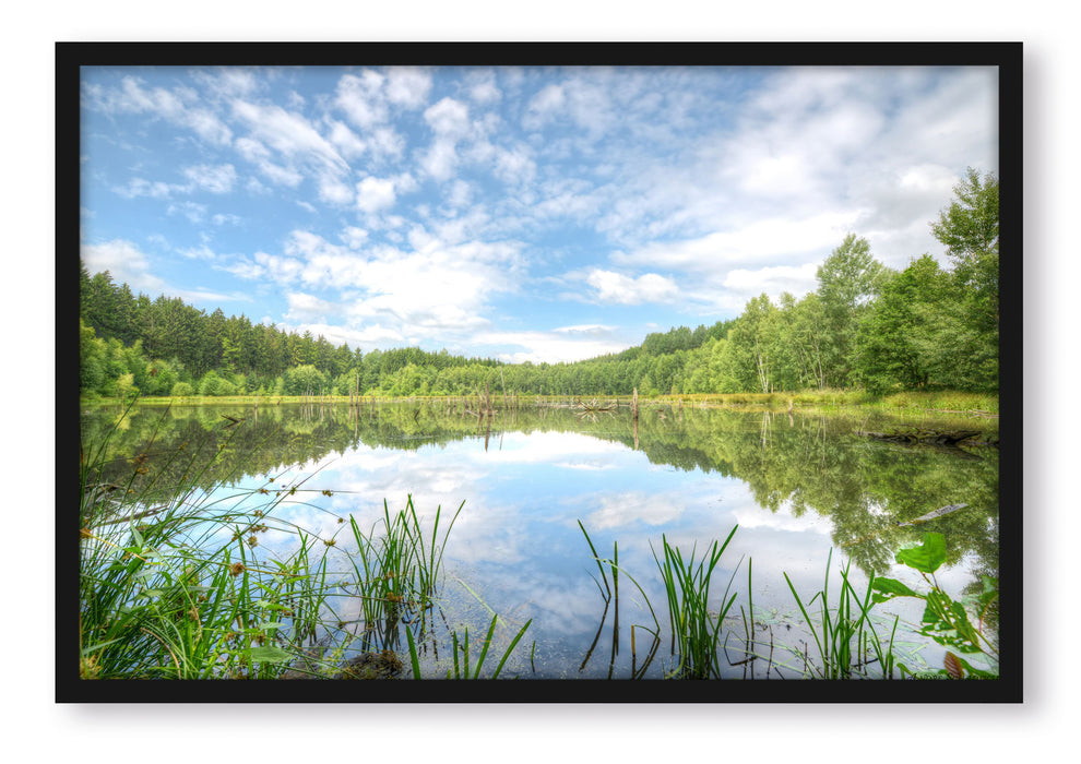 Pixxprint Waldsee Nachmittagstraum, Poster mit Bilderrahmen