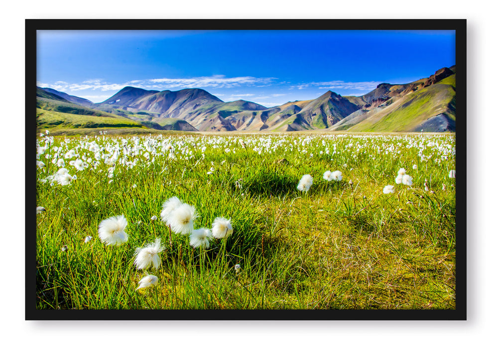 Pixxprint Alpenwiese, Poster mit Bilderrahmen